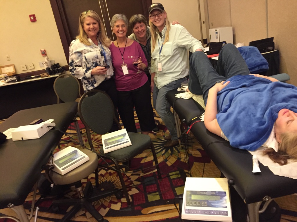 Chcago Treatment Group 2017